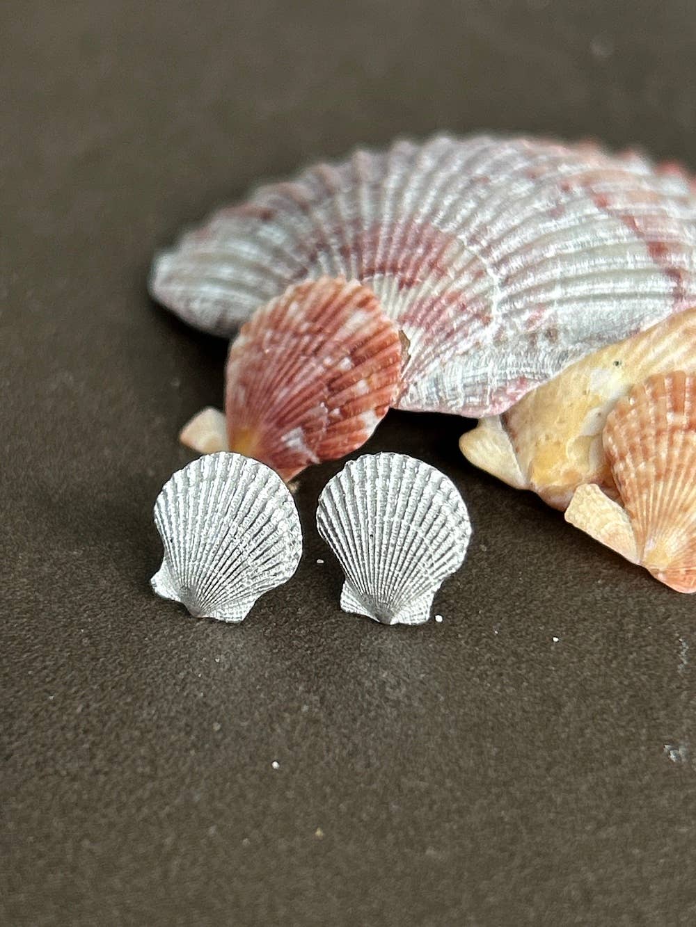 Silver Scallop Shell Earrings - Isle of Colonsay: Large